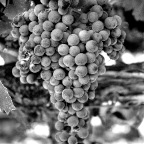 IMG_1077 - Version 2